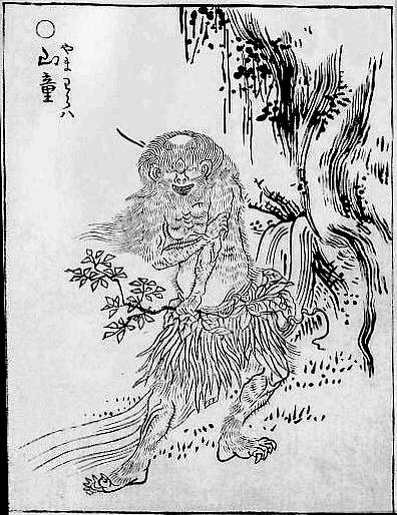 山童(やまわろ) 山童(やまわろ)