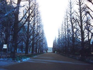 f:id:youro:20050717072759:image f:id:youro:20050717072759:image