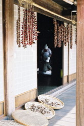 f:id:youro:20050717160208:image f:id:youro:20050717160208:image