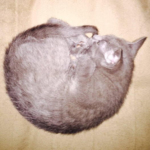 f:id:youtalkingtome:20150406182813j:plain f:id:youtalkingtome:20150406182813j:plain