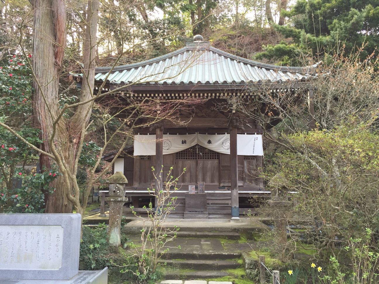 f:id:yoyorinrinyuyu:20150322181030j:plain f:id:yoyorinrinyuyu:20150322181030j:plain