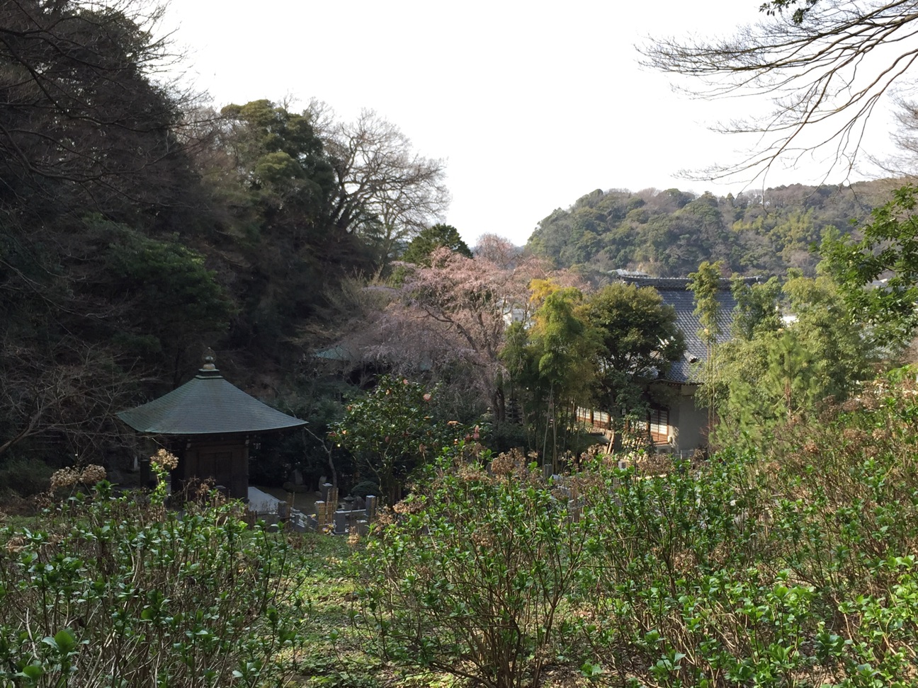 f:id:yoyorinrinyuyu:20150322181053j:plain f:id:yoyorinrinyuyu:20150322181053j:plain