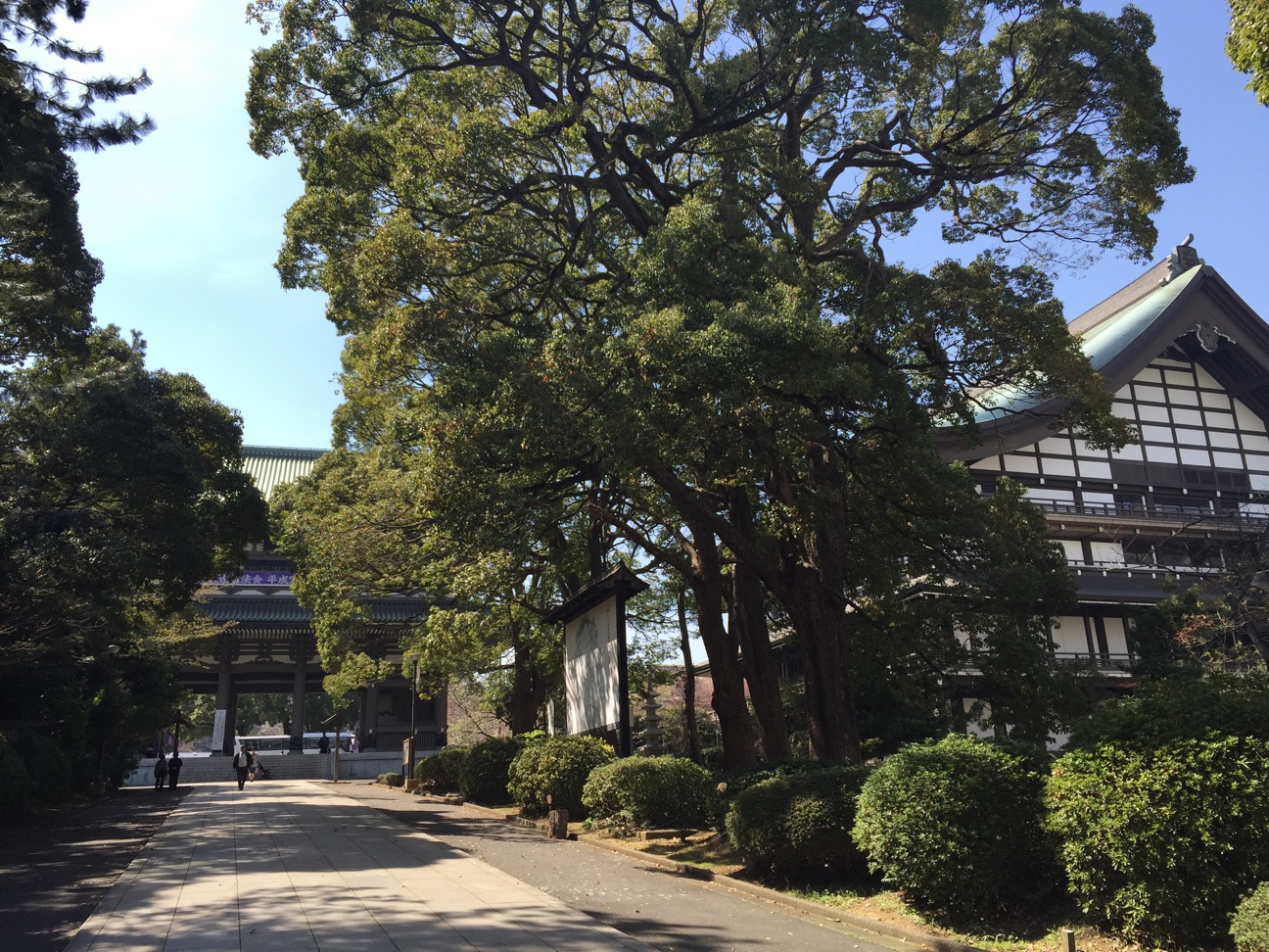 f:id:yoyorinrinyuyu:20150328125006j:plain f:id:yoyorinrinyuyu:20150328125006j:plain
