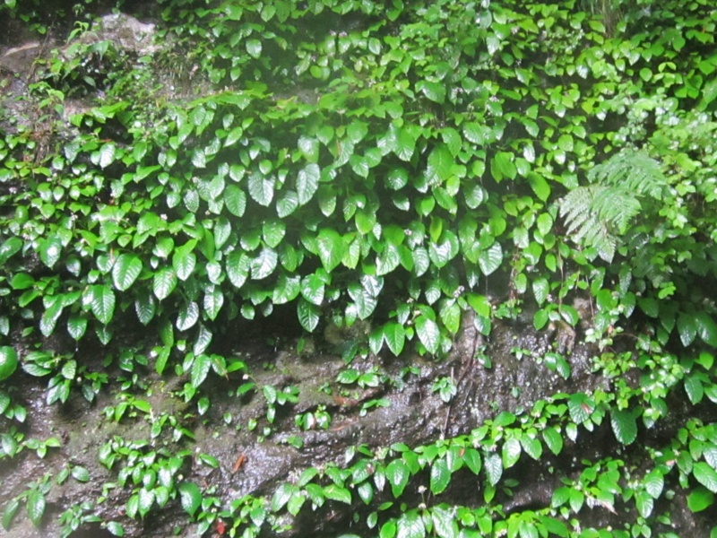 f:id:yporcini:20140607124445j:plain f:id:yporcini:20140607124445j:plain