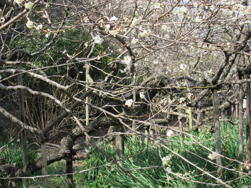 f:id:yporcini:20150228133841j:plain