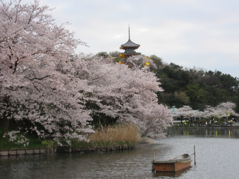 f:id:yporcini:20150402175315j:plain f:id:yporcini:20150402175315j:plain