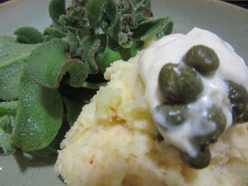 f:id:yporcini:20150524203938j:plain f:id:yporcini:20150524203938j:plain