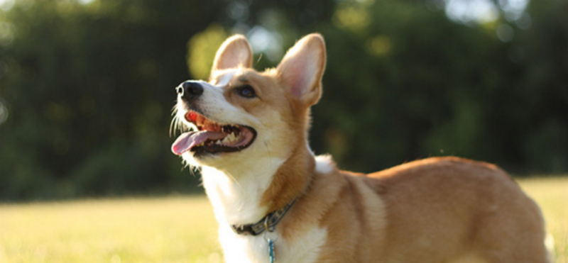 f:id:ys_nim_9:20141121091523j:plain f:id:ys_nim_9:20141121091523j:plain