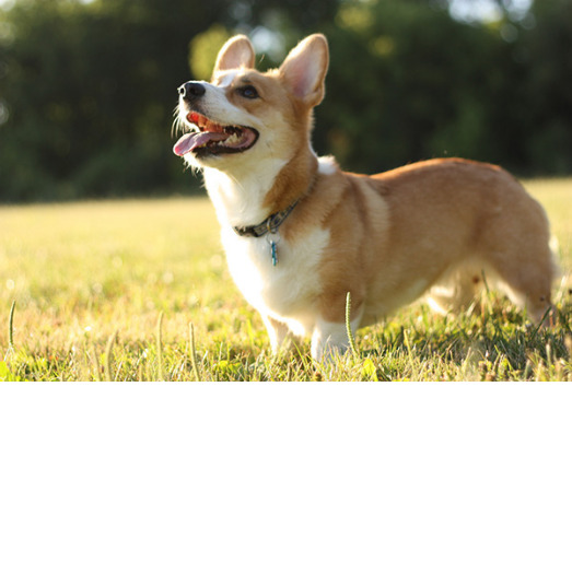 f:id:ys_nim_9:20141121091533j:plain f:id:ys_nim_9:20141121091533j:plain