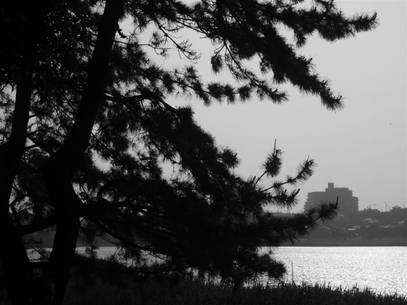 f:id:ys_nim_9:20141217092637j:plain f:id:ys_nim_9:20141217092637j:plain