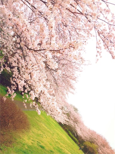f:id:yu-rin-chi:20160404195012j:image f:id:yu-rin-chi:20160404195012j:image