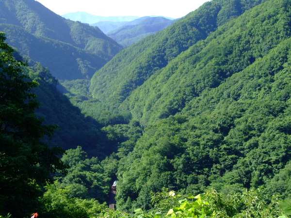 f:id:yuichi_alex:20070707072635j:image:w400