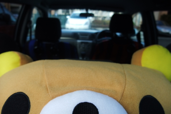 f:id:yuichi_alex:20100115133729j:image