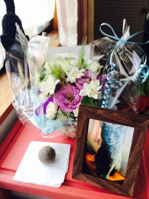 f:id:yuikawanishi:20140318195520j:plain f:id:yuikawanishi:20140318195520j:plain