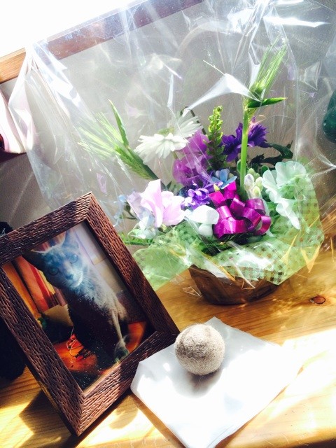 f:id:yuikawanishi:20140318195535j:plain f:id:yuikawanishi:20140318195535j:plain