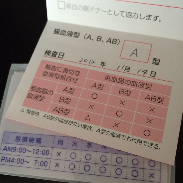 f:id:yuikawanishi:20140417102201j:plain f:id:yuikawanishi:20140417102201j:plain