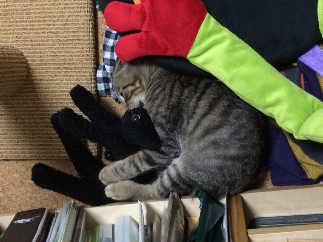 f:id:yuikawanishi:20140811234334j:plain f:id:yuikawanishi:20140811234334j:plain