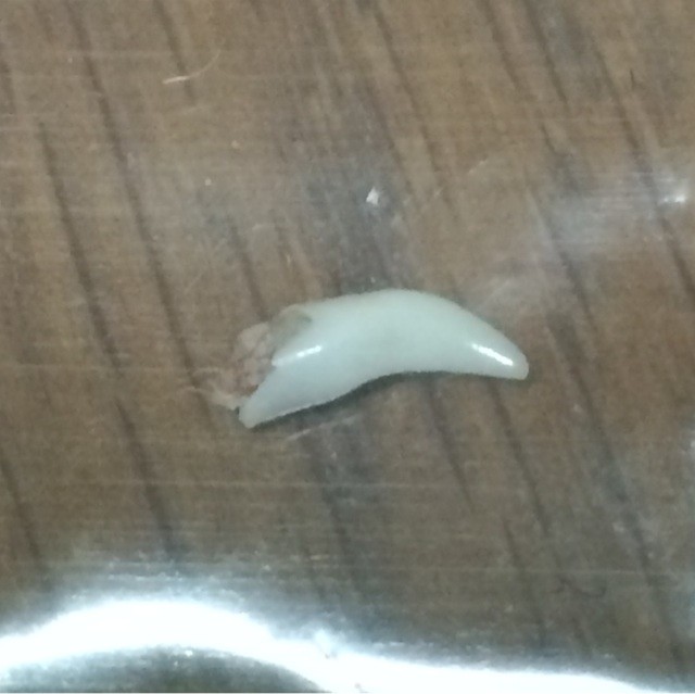f:id:yuikawanishi:20141026134228j:plain f:id:yuikawanishi:20141026134228j:plain