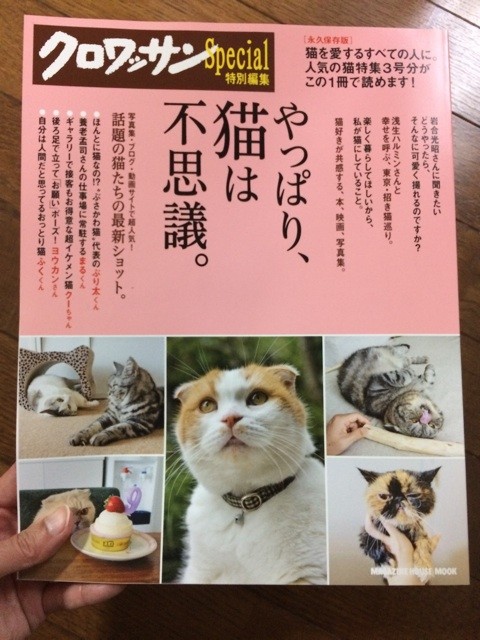 f:id:yuikawanishi:20150117161718j:plain f:id:yuikawanishi:20150117161718j:plain
