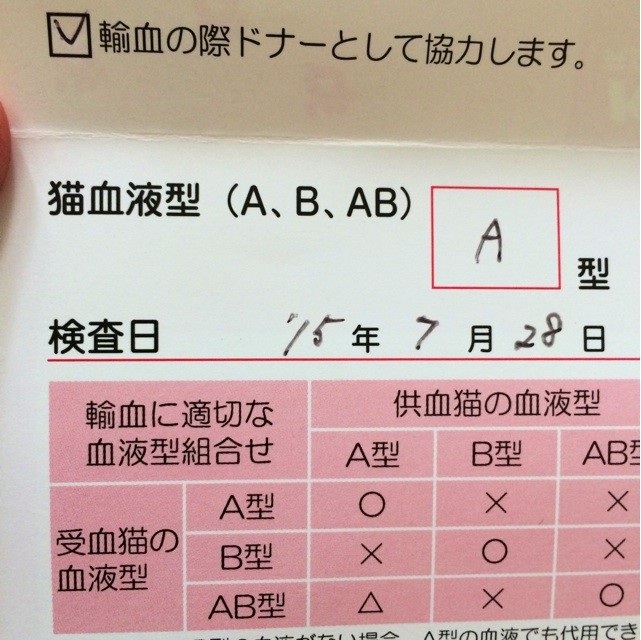 f:id:yuikawanishi:20150802125116j:plain f:id:yuikawanishi:20150802125116j:plain