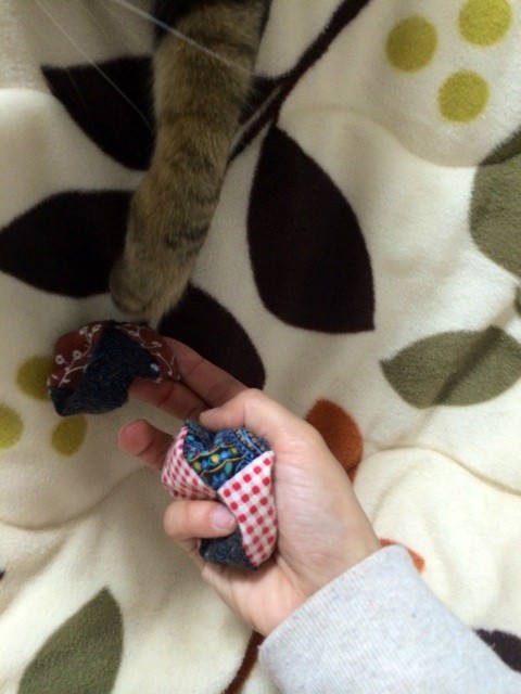 f:id:yuikawanishi:20160312225022j:plain f:id:yuikawanishi:20160312225022j:plain