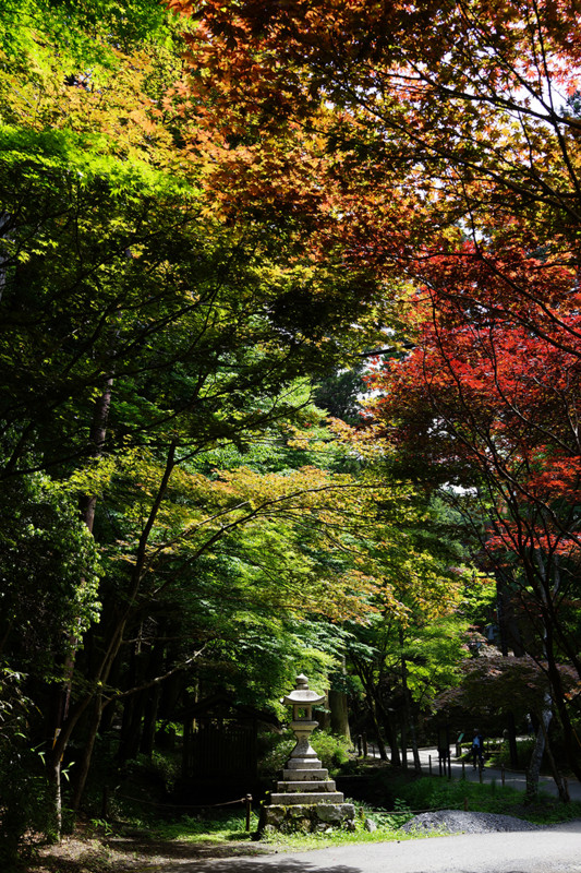 f:id:yuipapa:20150524102628j:plain f:id:yuipapa:20150524102628j:plain