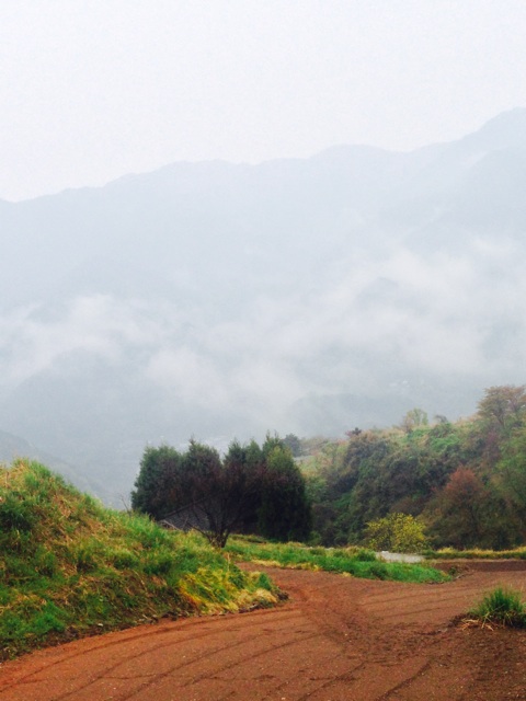 f:id:yujirosatake2014:20140413094241j:plain f:id:yujirosatake2014:20140413094241j:plain
