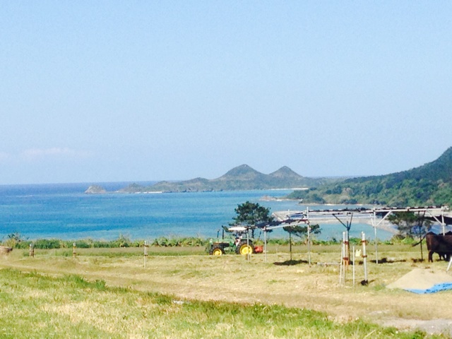 f:id:yujirosatake2014:20140414021032j:plain f:id:yujirosatake2014:20140414021032j:plain