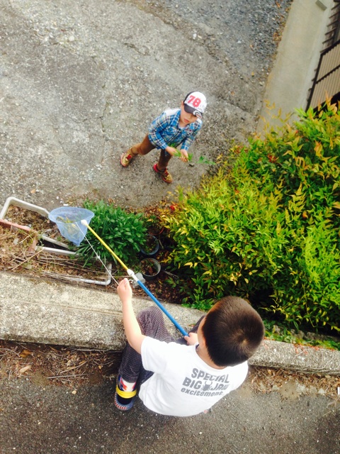 f:id:yujirosatake2014:20140428132730j:plain f:id:yujirosatake2014:20140428132730j:plain