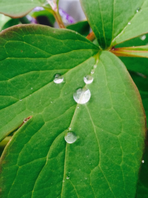 f:id:yujirosatake2014:20140428204544j:plain f:id:yujirosatake2014:20140428204544j:plain