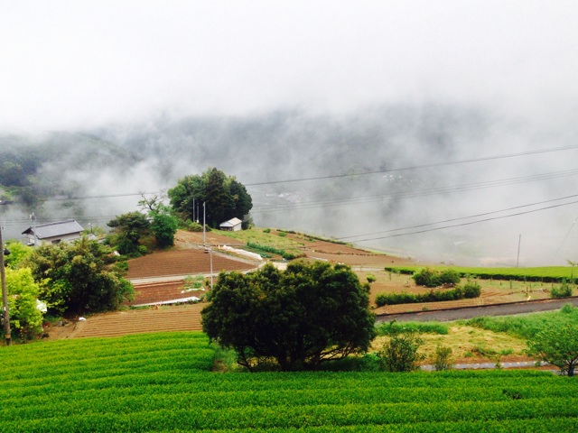 f:id:yujirosatake2014:20140430125255j:plain f:id:yujirosatake2014:20140430125255j:plain