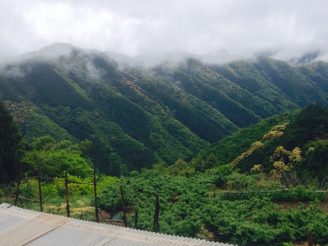 f:id:yujirosatake2014:20140430134735j:plain f:id:yujirosatake2014:20140430134735j:plain