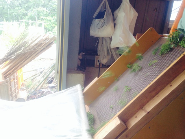 f:id:yujirosatake2014:20140515142337j:plain f:id:yujirosatake2014:20140515142337j:plain