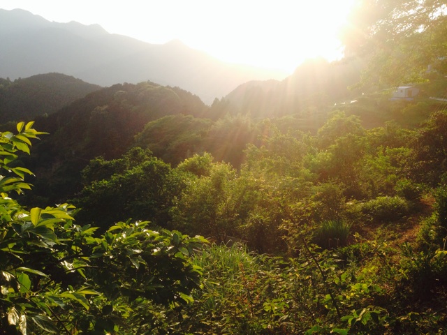 f:id:yujirosatake2014:20140523225225j:plain f:id:yujirosatake2014:20140523225225j:plain