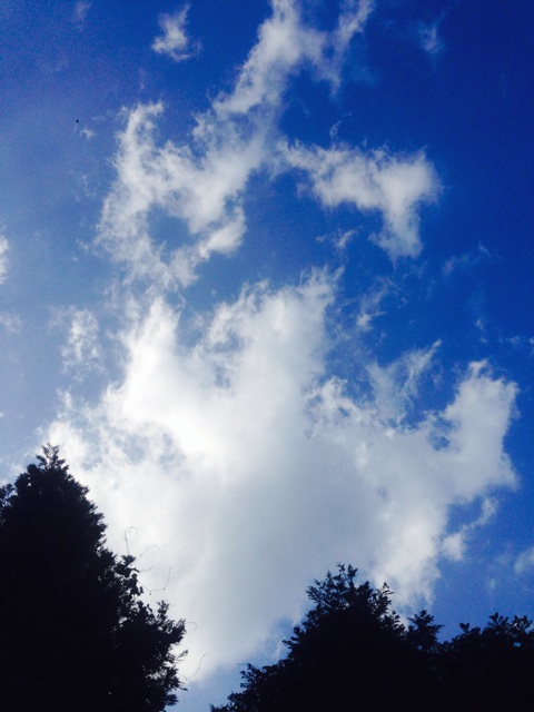 f:id:yujirosatake2014:20140524012017j:plain f:id:yujirosatake2014:20140524012017j:plain