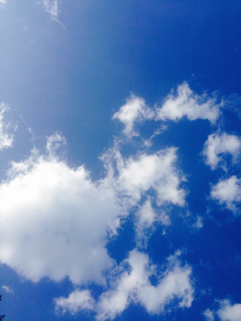 f:id:yujirosatake2014:20140524012053j:plain f:id:yujirosatake2014:20140524012053j:plain