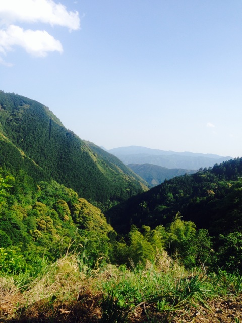 f:id:yujirosatake2014:20140524012731j:plain f:id:yujirosatake2014:20140524012731j:plain
