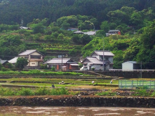 f:id:yujirosatake2014:20140608000254j:plain f:id:yujirosatake2014:20140608000254j:plain