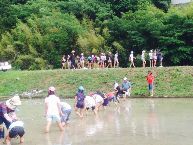 f:id:yujirosatake2014:20140608002432j:plain f:id:yujirosatake2014:20140608002432j:plain