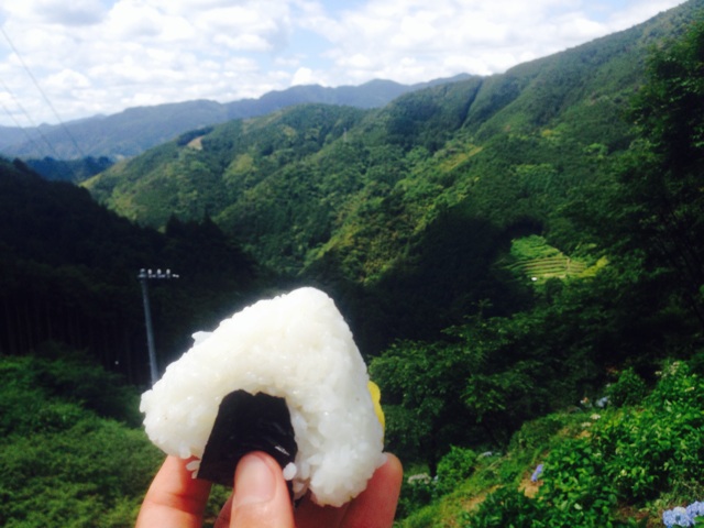 f:id:yujirosatake2014:20140619154156j:plain f:id:yujirosatake2014:20140619154156j:plain