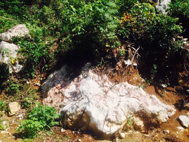 f:id:yujirosatake2014:20140622090616j:plain f:id:yujirosatake2014:20140622090616j:plain