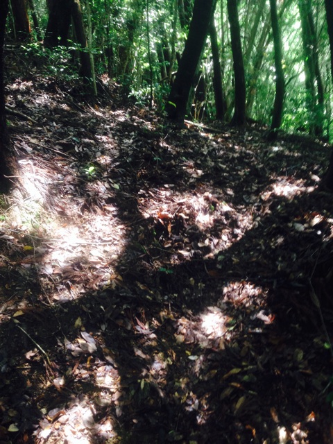 f:id:yujirosatake2014:20140622090848j:plain f:id:yujirosatake2014:20140622090848j:plain