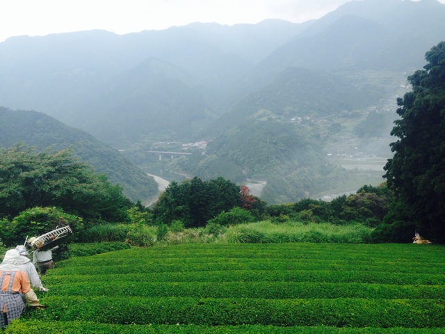 f:id:yujirosatake2014:20140630120841j:plain f:id:yujirosatake2014:20140630120841j:plain