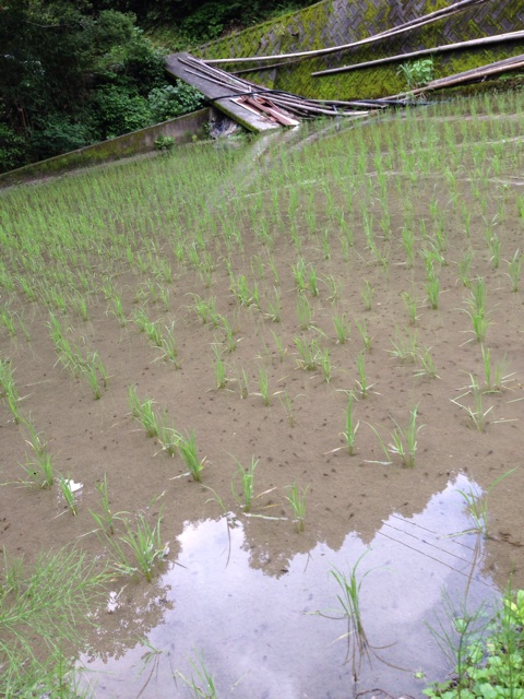 f:id:yujirosatake2014:20140630121626j:plain f:id:yujirosatake2014:20140630121626j:plain