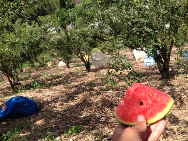 f:id:yujirosatake2014:20140729144312j:plain f:id:yujirosatake2014:20140729144312j:plain