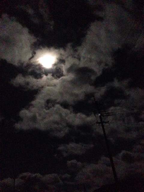 f:id:yujirosatake2014:20140812105025j:plain f:id:yujirosatake2014:20140812105025j:plain
