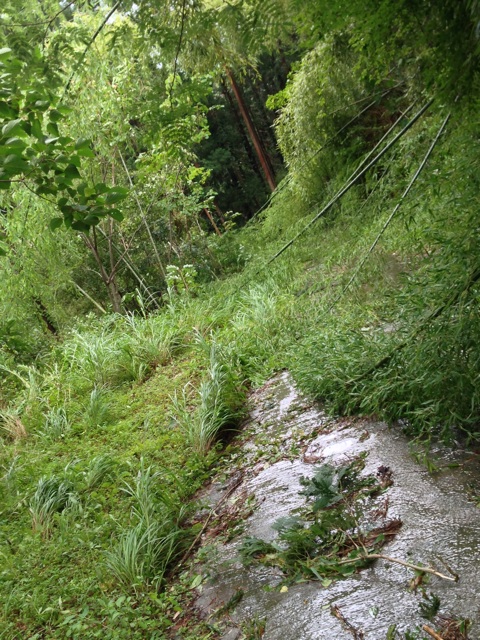 f:id:yujirosatake2014:20140812221259j:plain f:id:yujirosatake2014:20140812221259j:plain