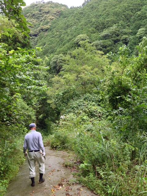 f:id:yujirosatake2014:20140812221836j:plain f:id:yujirosatake2014:20140812221836j:plain
