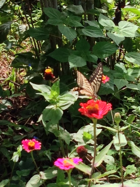 f:id:yujirosatake2014:20140908190428j:plain f:id:yujirosatake2014:20140908190428j:plain