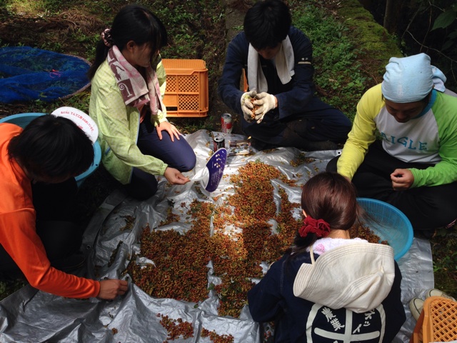 f:id:yujirosatake2014:20140921085959j:plain f:id:yujirosatake2014:20140921085959j:plain